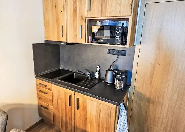Ski&bike Sirena-8 By Interhome Apartmán Janské Lázně